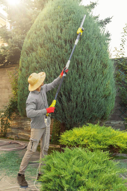 Emergency Storm Tree Removal in Granite Falls, MN